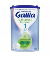 Gallia Galliagest Premium 1 Lait En Poudre B/800g à AYGUESVIVES